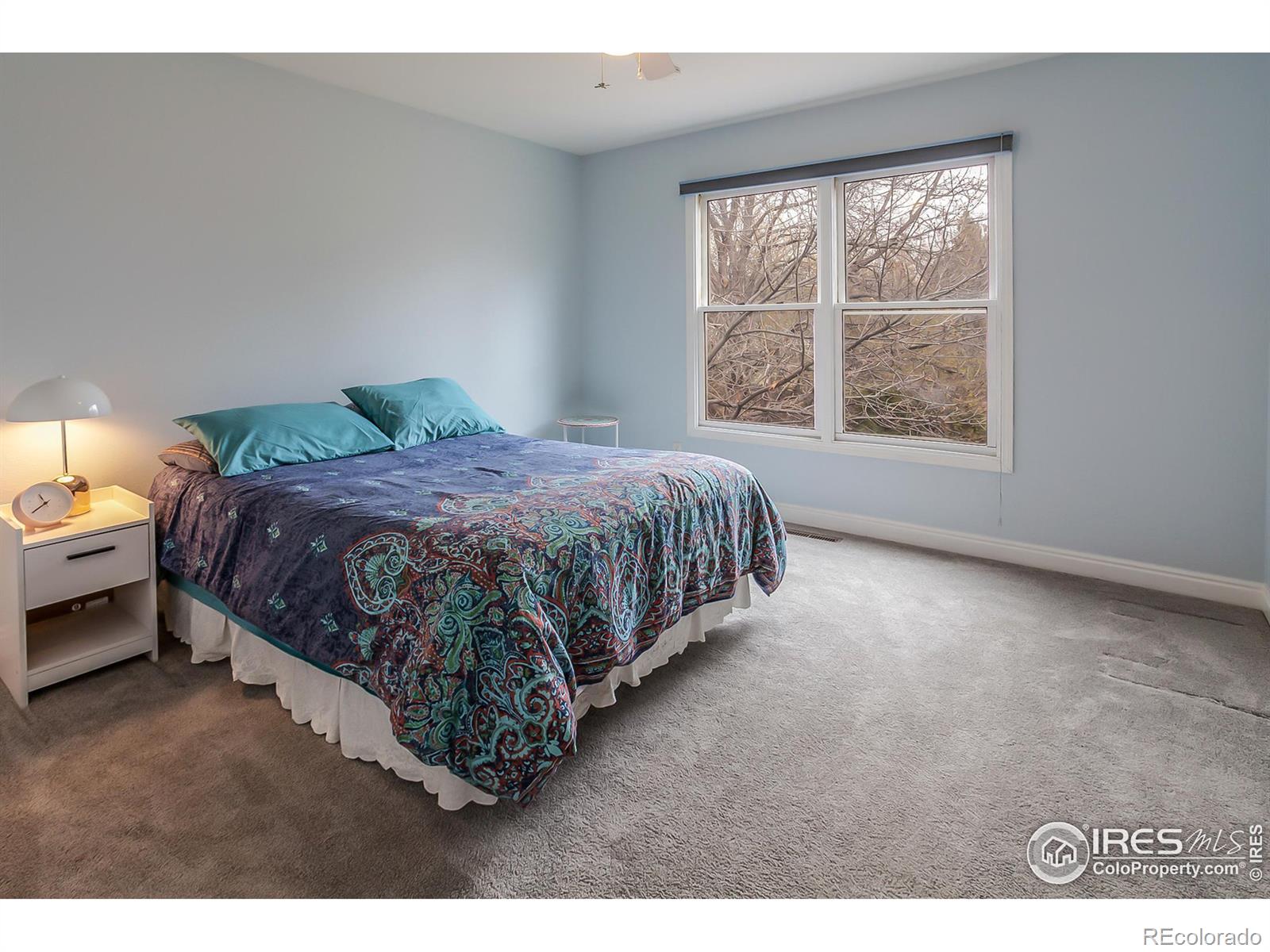 MLS Image #18 for 2606  bison road,fort collins, Colorado
