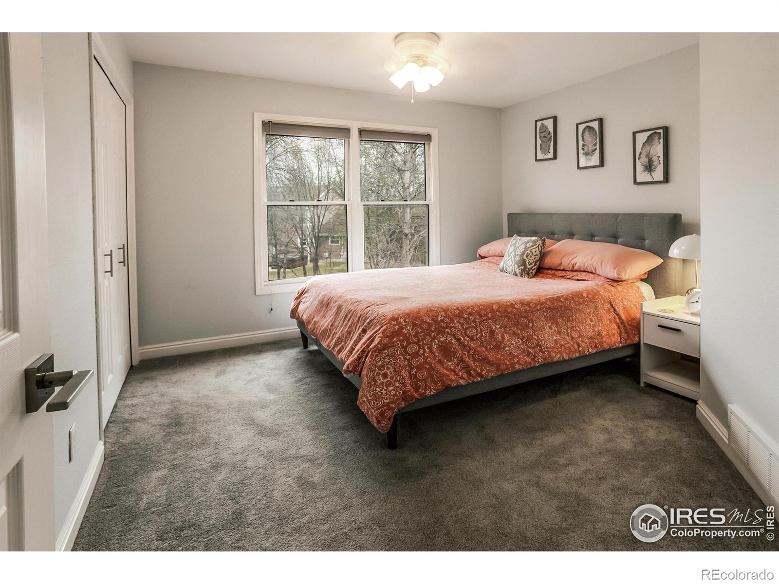 MLS Image #19 for 2606  bison road,fort collins, Colorado