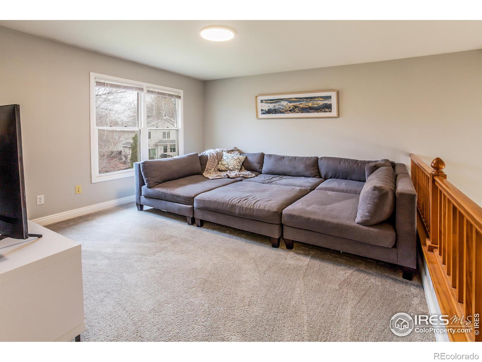 MLS Image #21 for 2606  bison road,fort collins, Colorado
