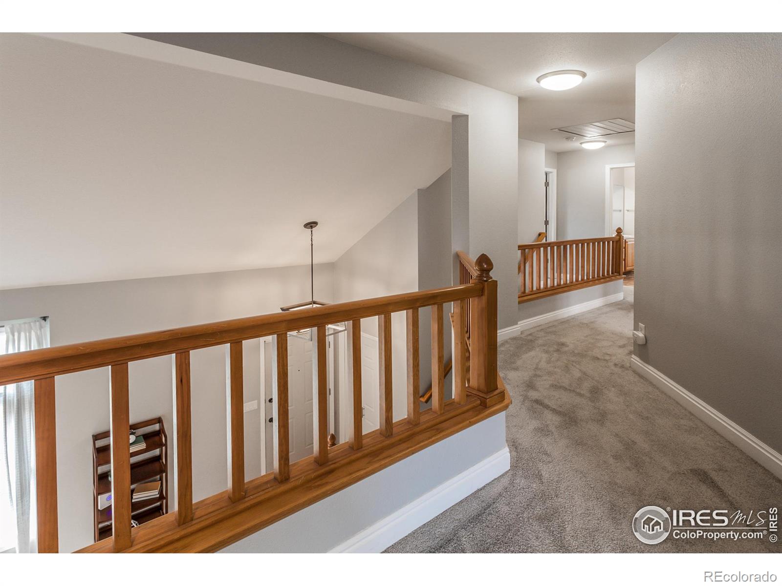 MLS Image #22 for 2606  bison road,fort collins, Colorado