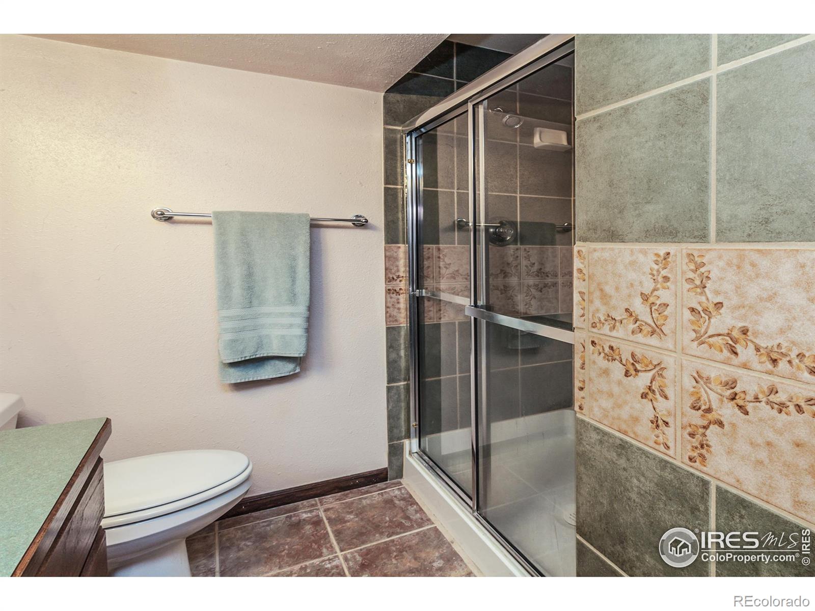 MLS Image #28 for 2606  bison road,fort collins, Colorado