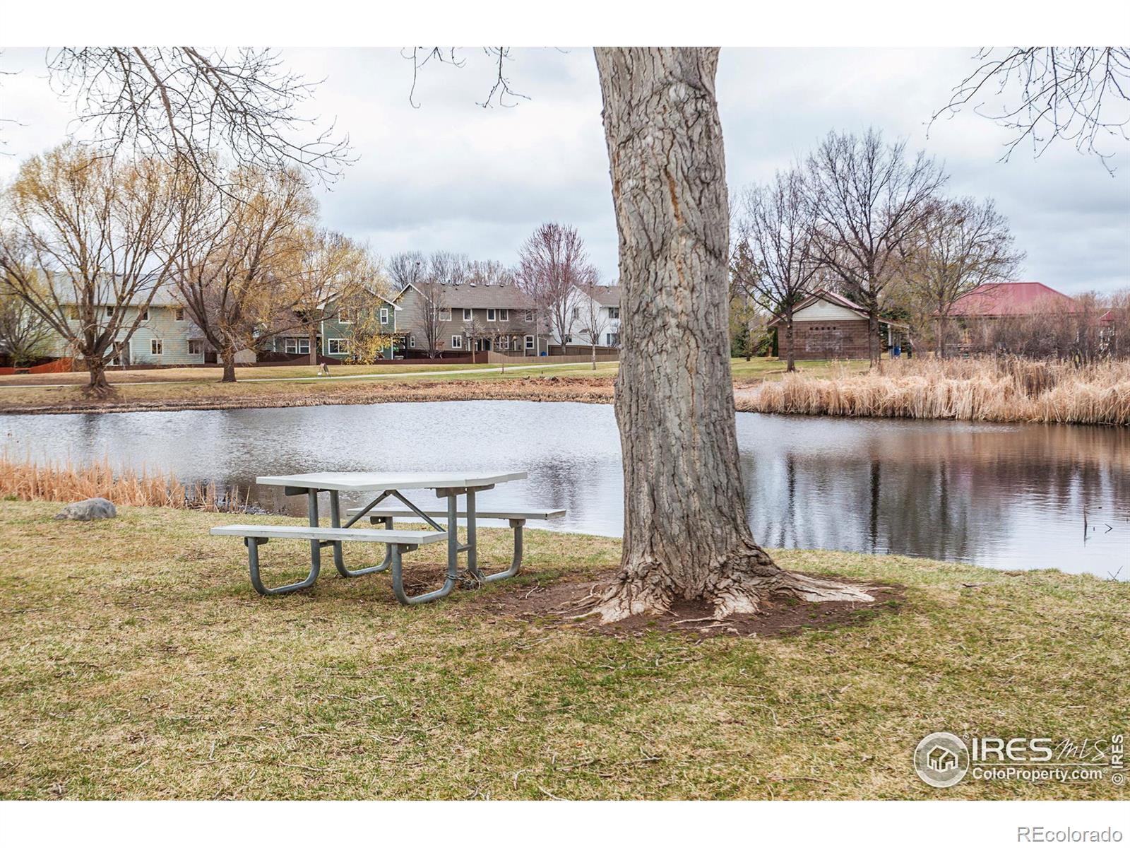 MLS Image #37 for 2606  bison road,fort collins, Colorado