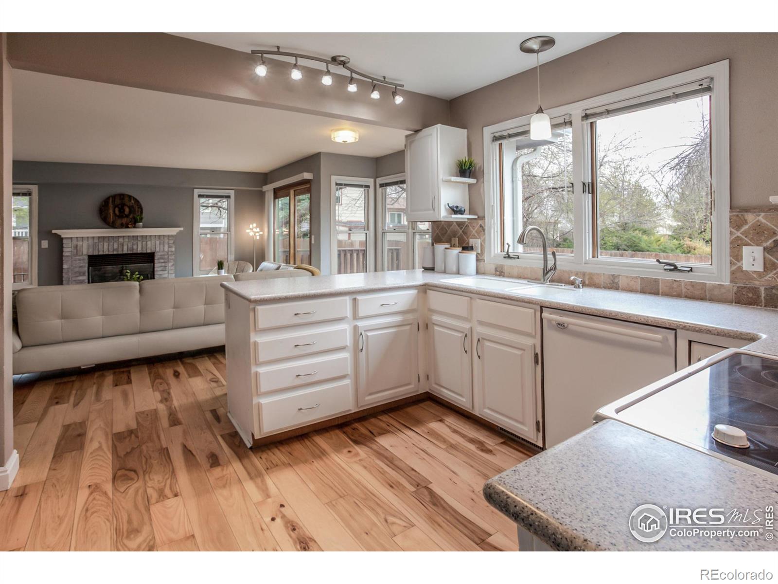 MLS Image #6 for 2606  bison road,fort collins, Colorado