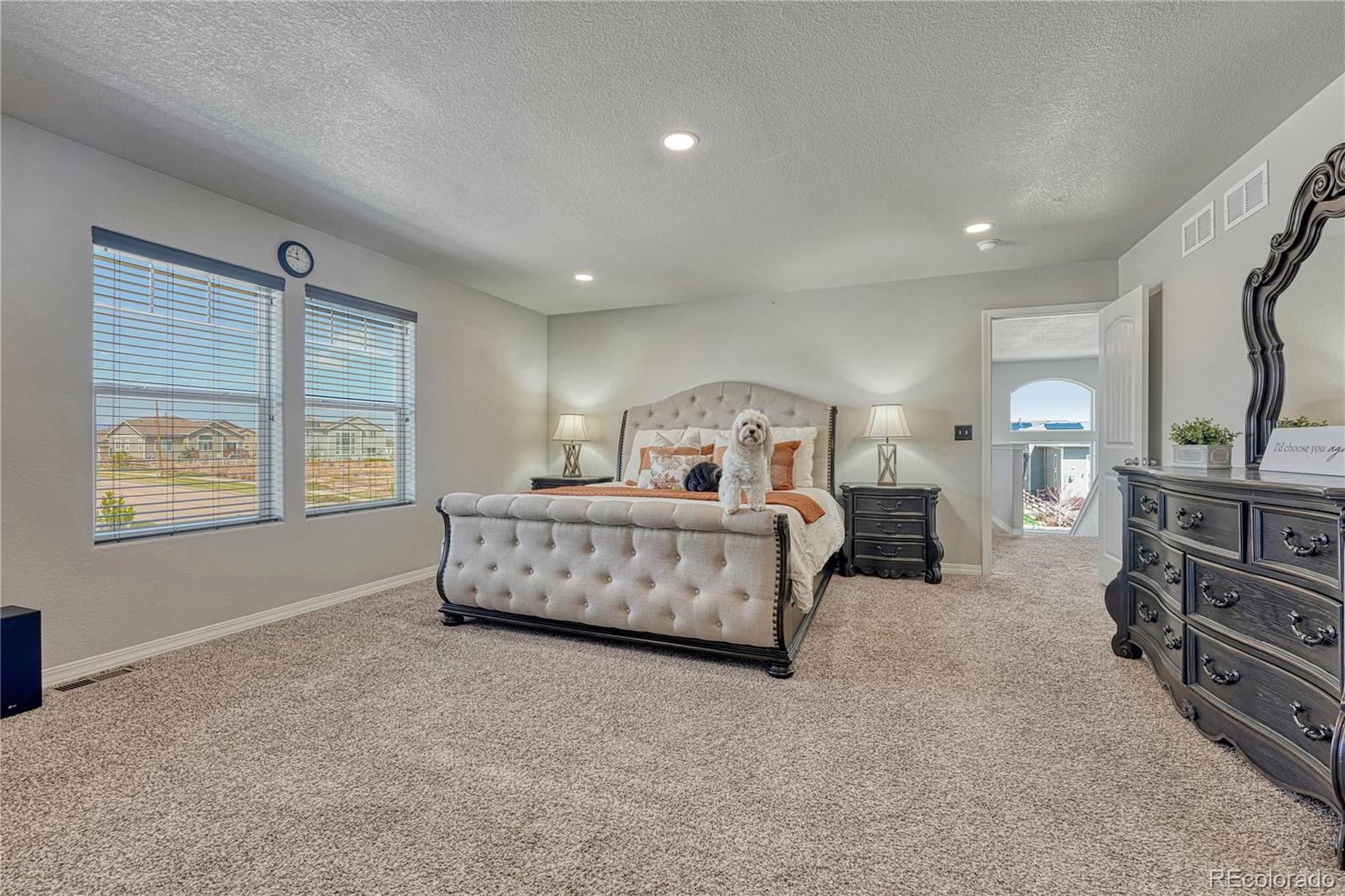 MLS Image #5 for 8175  glory drive,colorado springs, Colorado
