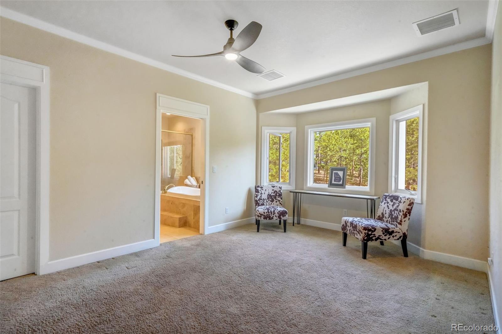 MLS Image #21 for 17255  colonial park drive,monument, Colorado