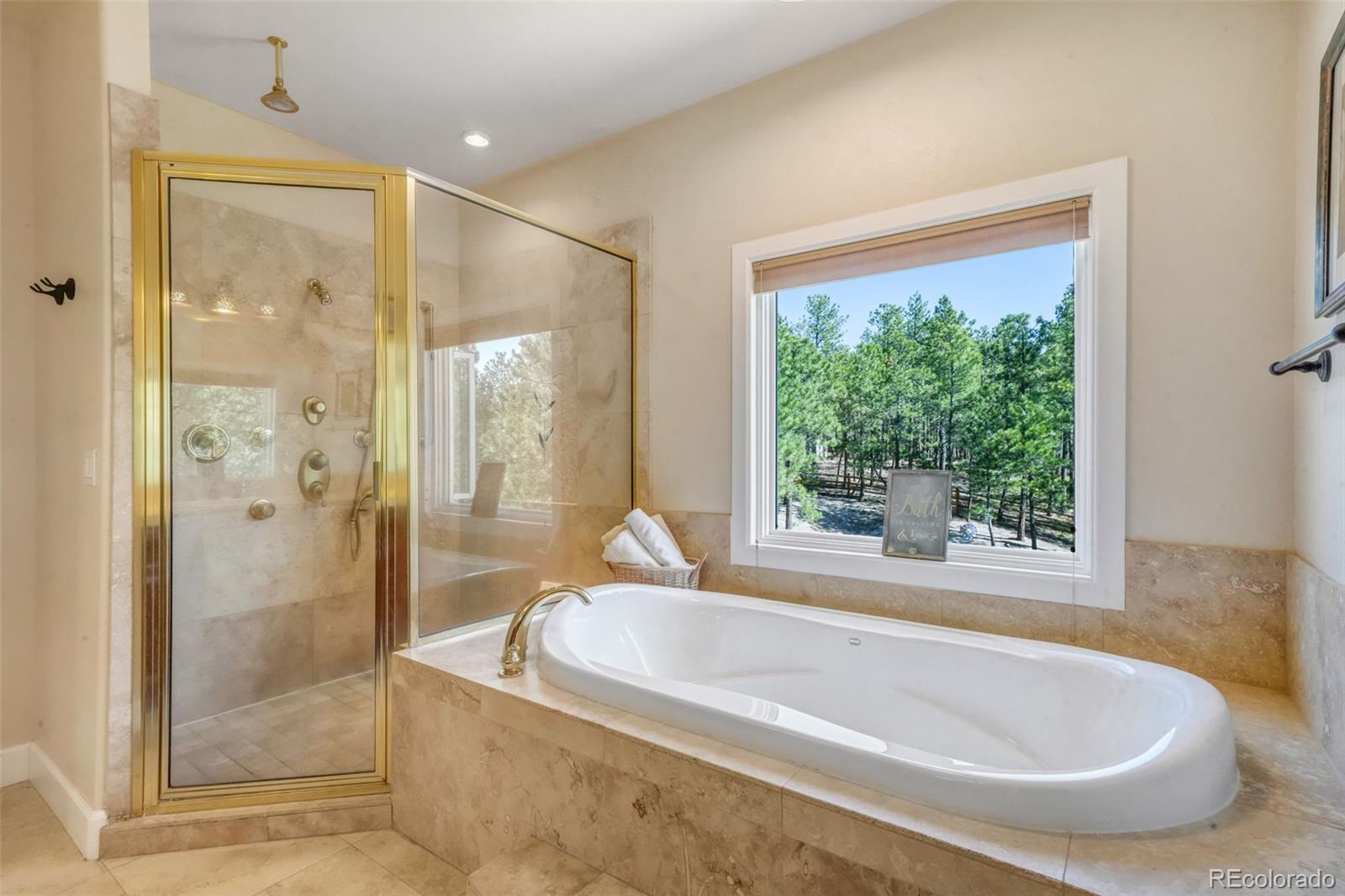 MLS Image #23 for 17255  colonial park drive,monument, Colorado