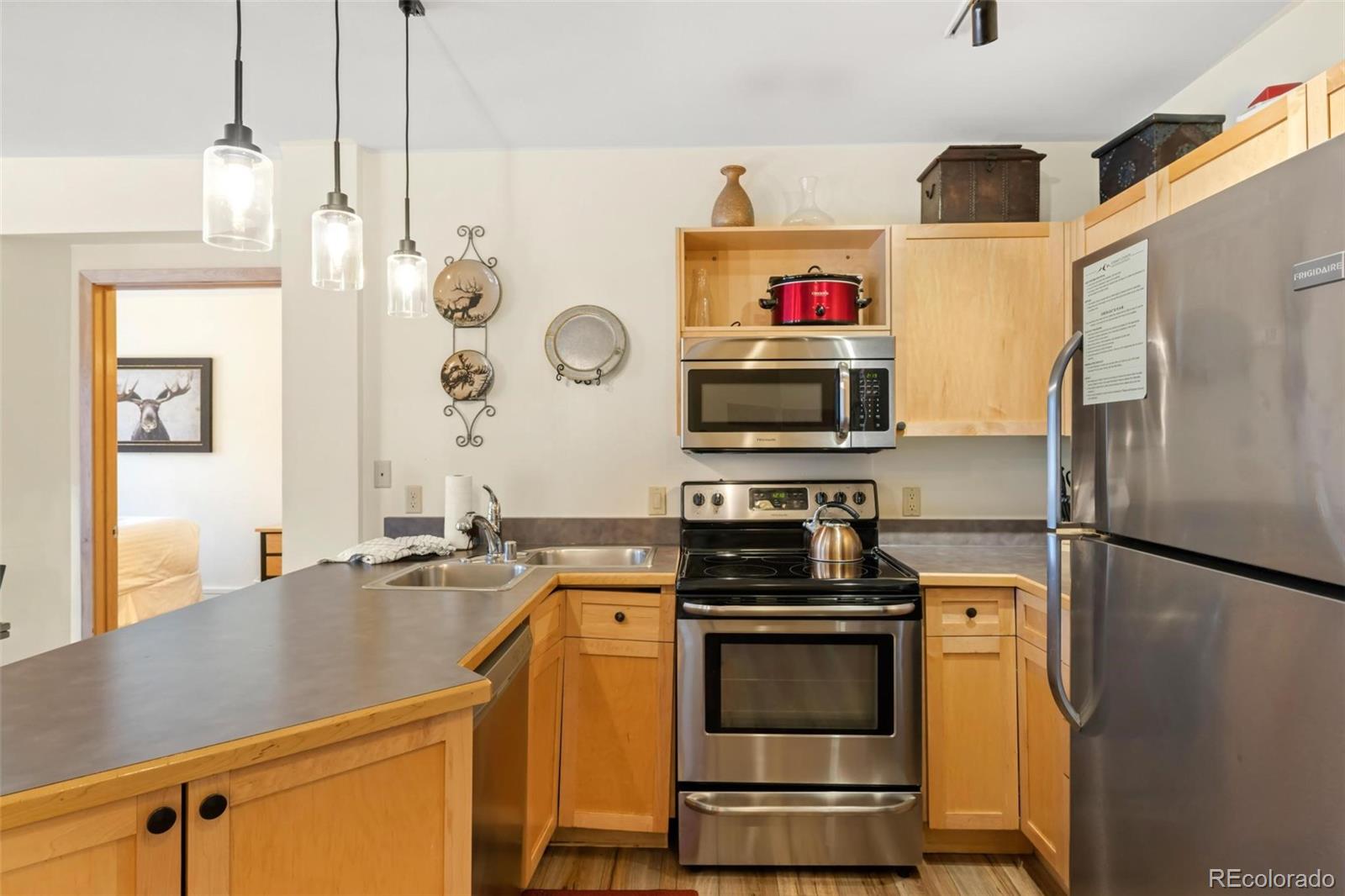 MLS Image #9 for 140  ida belle drive,dillon, Colorado