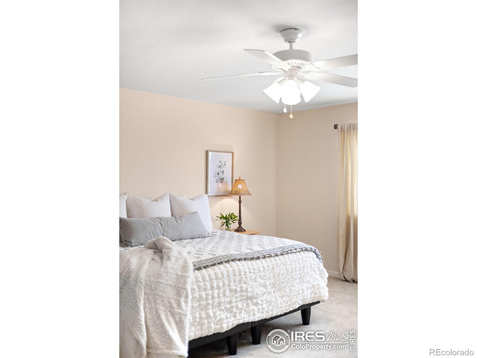 MLS Image #21 for 5861  mt shadows boulevard,firestone, Colorado