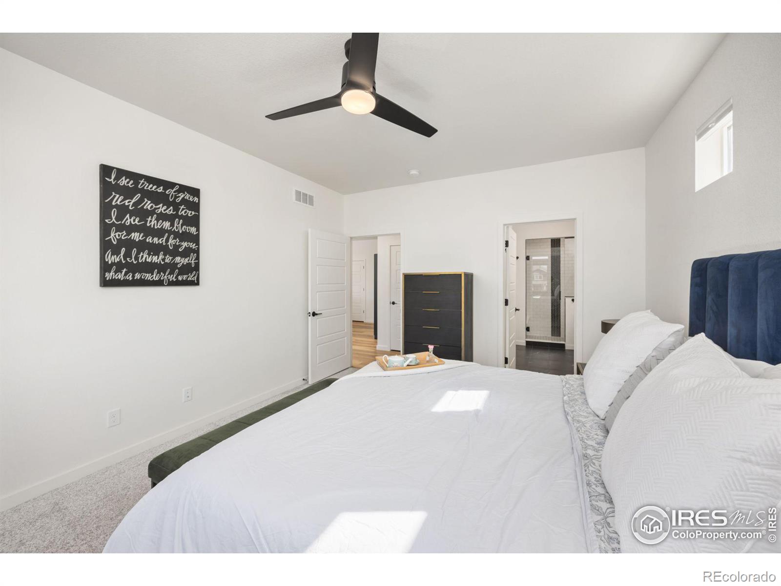 MLS Image #11 for 1059  larkspur drive,erie, Colorado