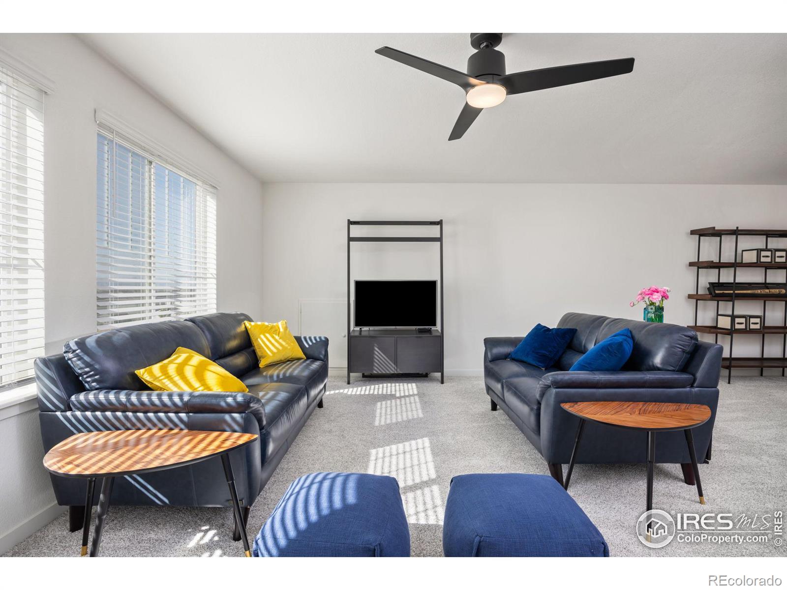 MLS Image #20 for 1059  larkspur drive,erie, Colorado