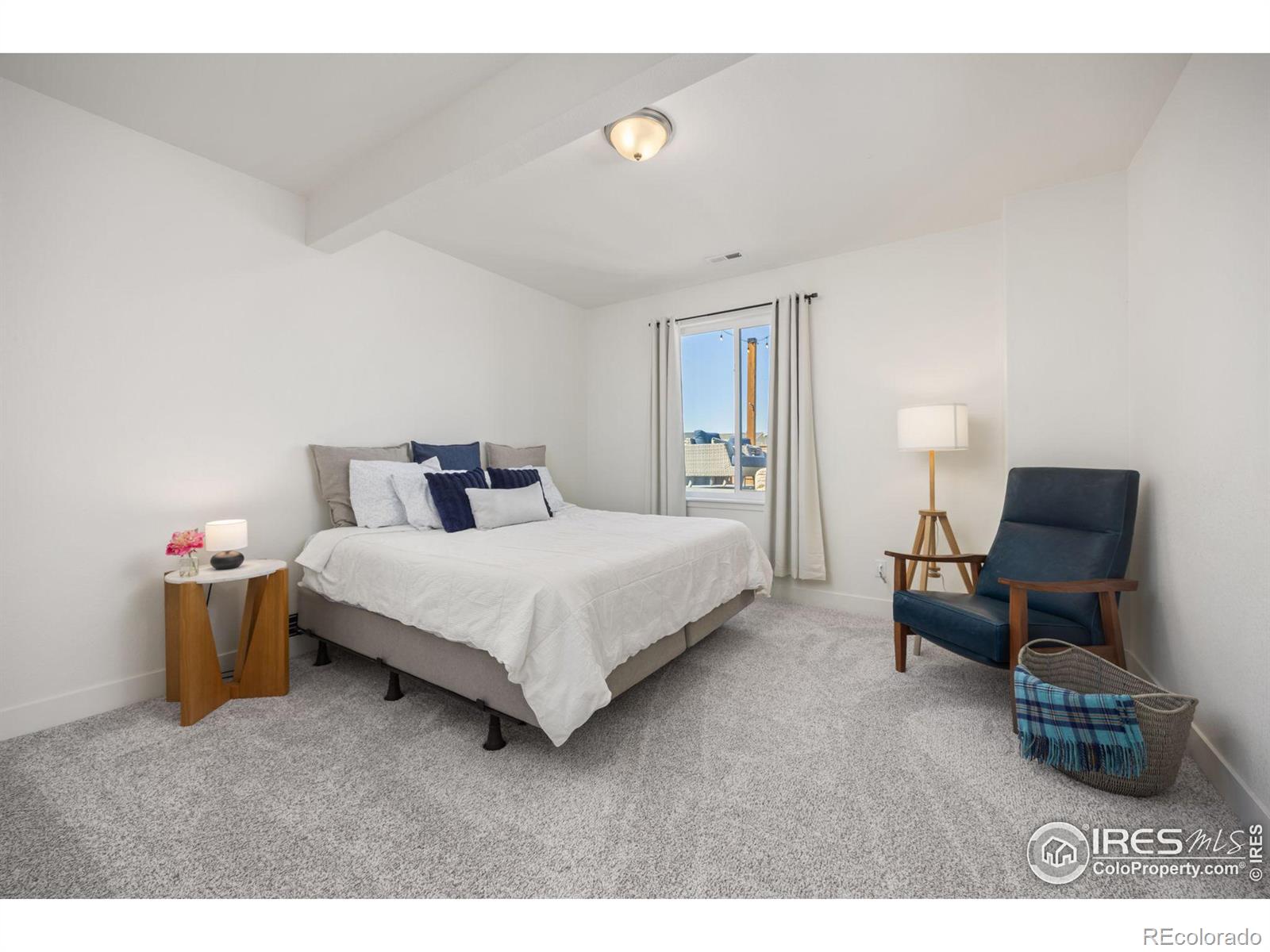 MLS Image #28 for 1059  larkspur drive,erie, Colorado