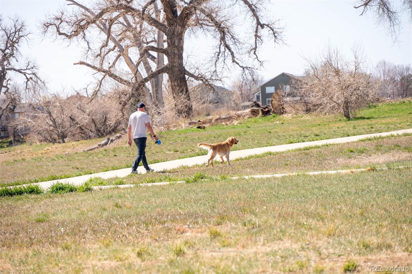 MLS Image #35 for 13742  valentia street,thornton, Colorado