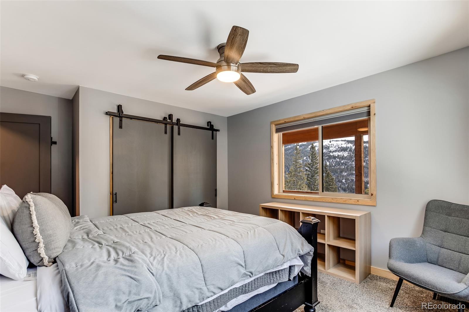 MLS Image #16 for 1452  quartzville road,fairplay, Colorado