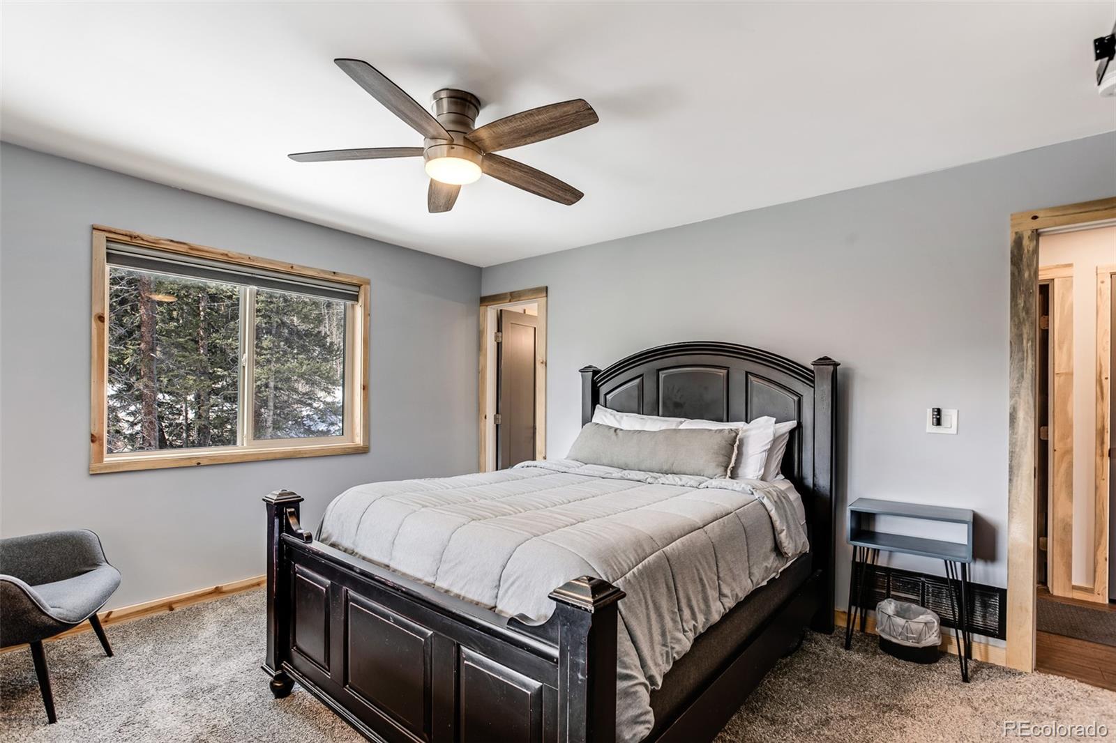 MLS Image #17 for 1452  quartzville road,fairplay, Colorado