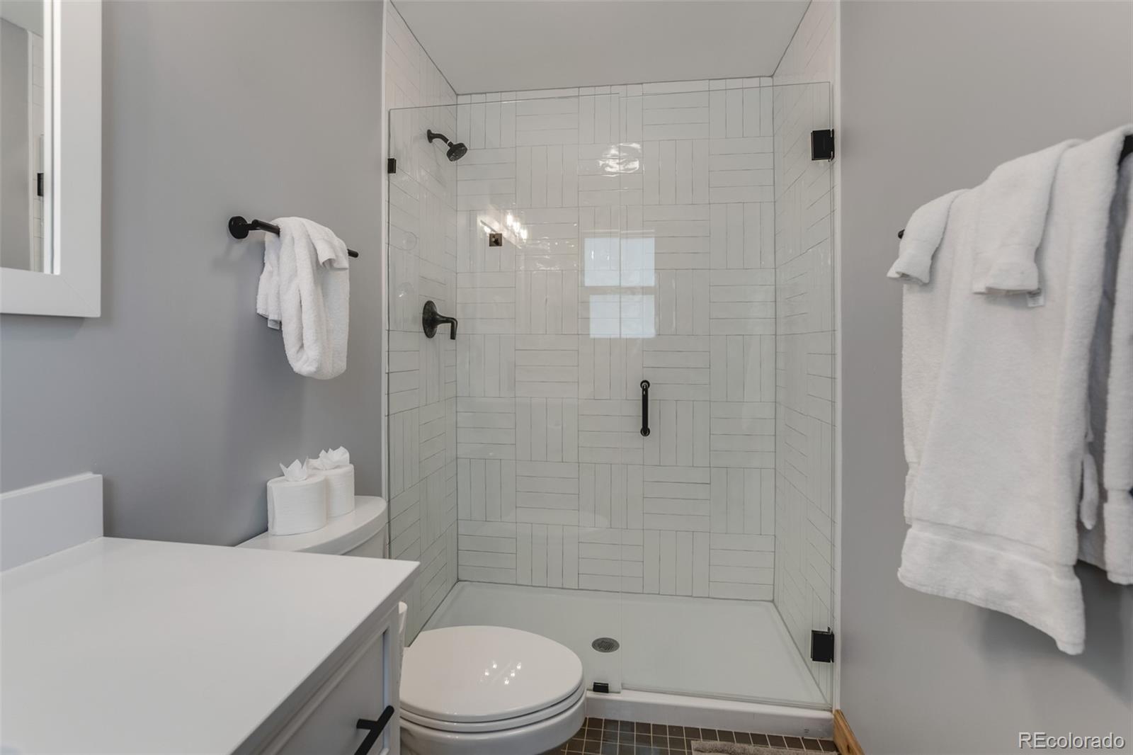 MLS Image #19 for 1452  quartzville road,fairplay, Colorado