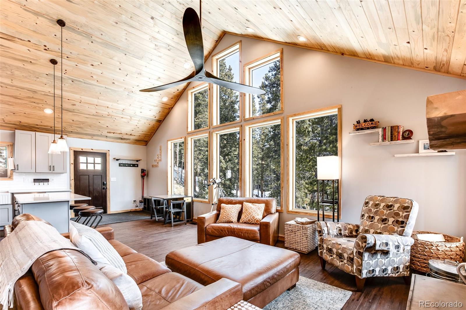 MLS Image #2 for 1452  quartzville road,fairplay, Colorado