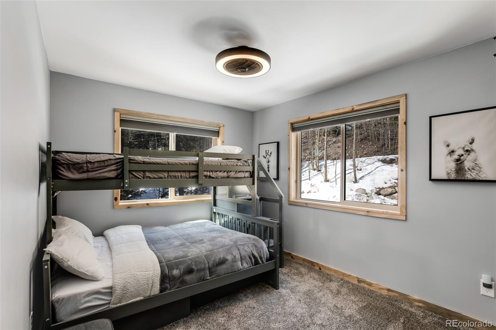 MLS Image #20 for 1452  quartzville road,fairplay, Colorado