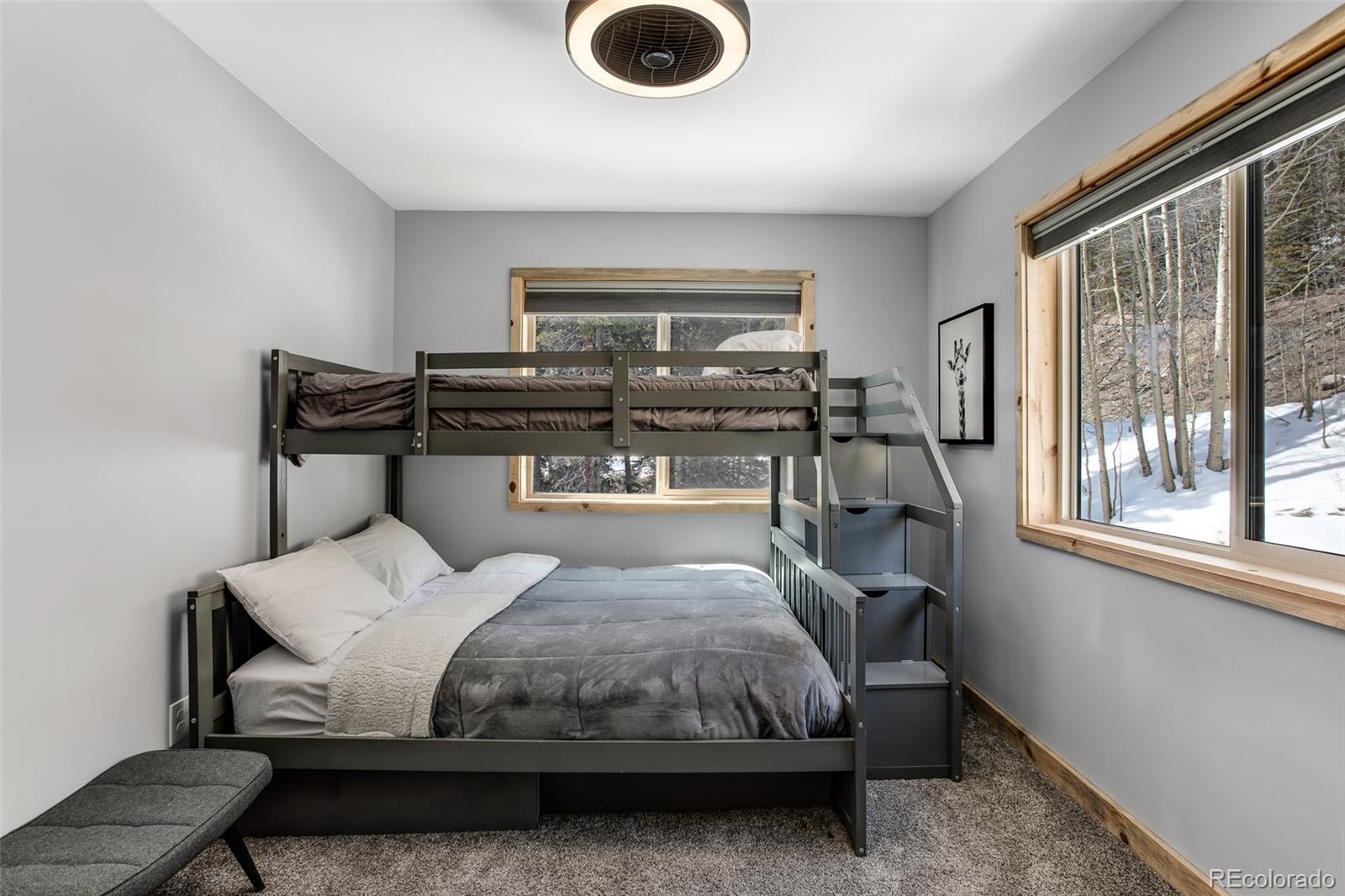 MLS Image #21 for 1452  quartzville road,fairplay, Colorado