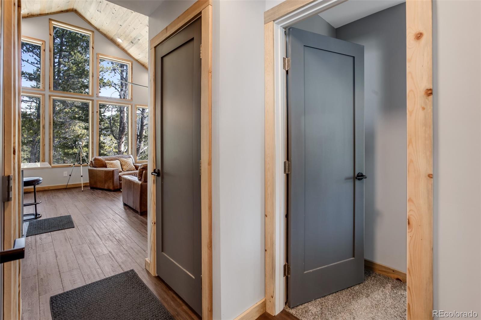 MLS Image #24 for 1452  quartzville road,fairplay, Colorado