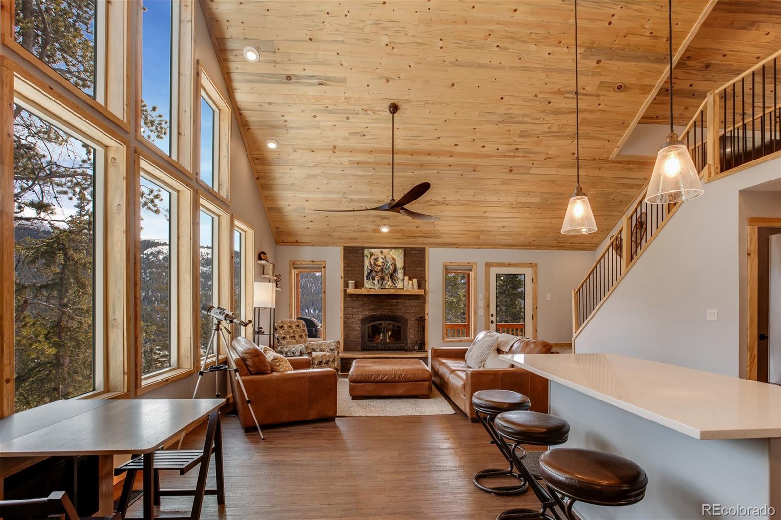 MLS Image #3 for 1452  quartzville road,fairplay, Colorado