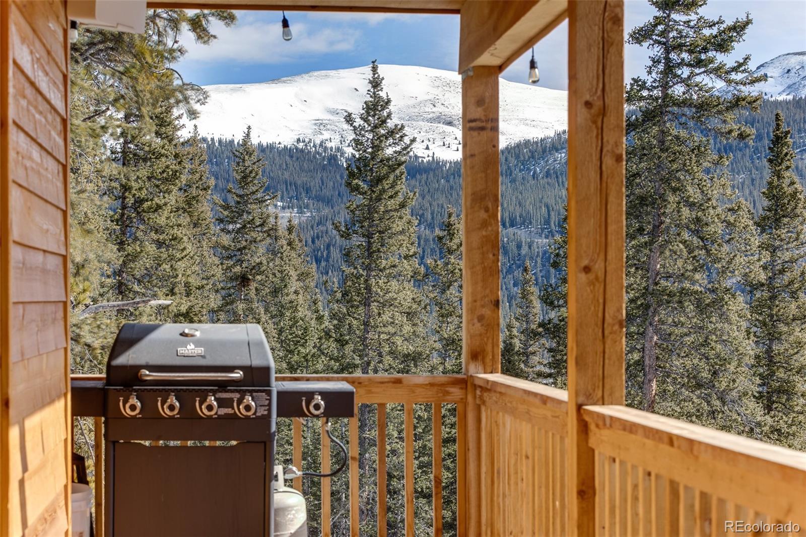 MLS Image #33 for 1452  quartzville road,fairplay, Colorado