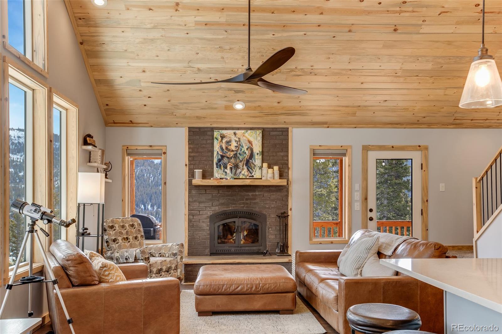 MLS Image #4 for 1452  quartzville road,fairplay, Colorado