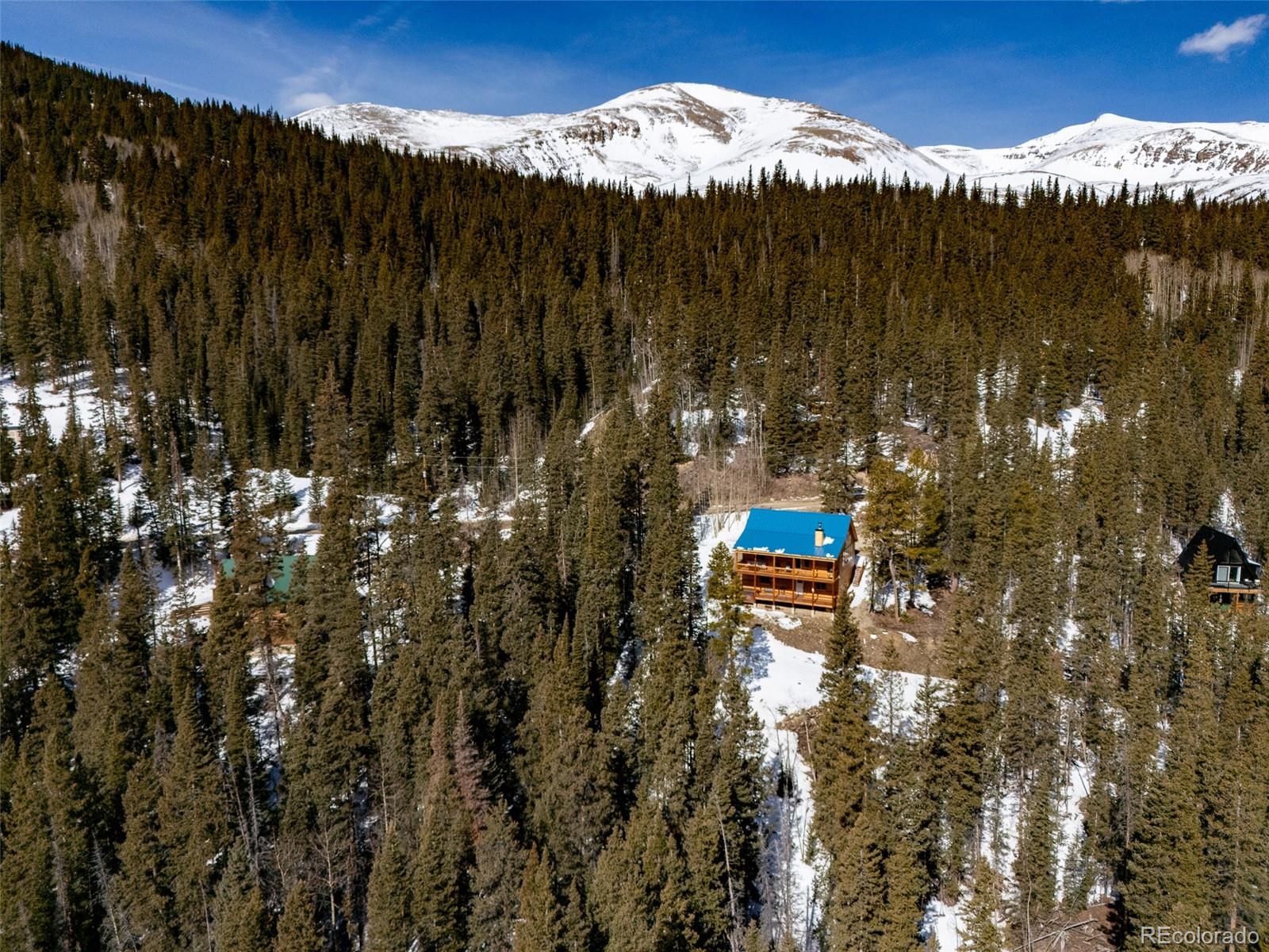 MLS Image #44 for 1452  quartzville road,fairplay, Colorado