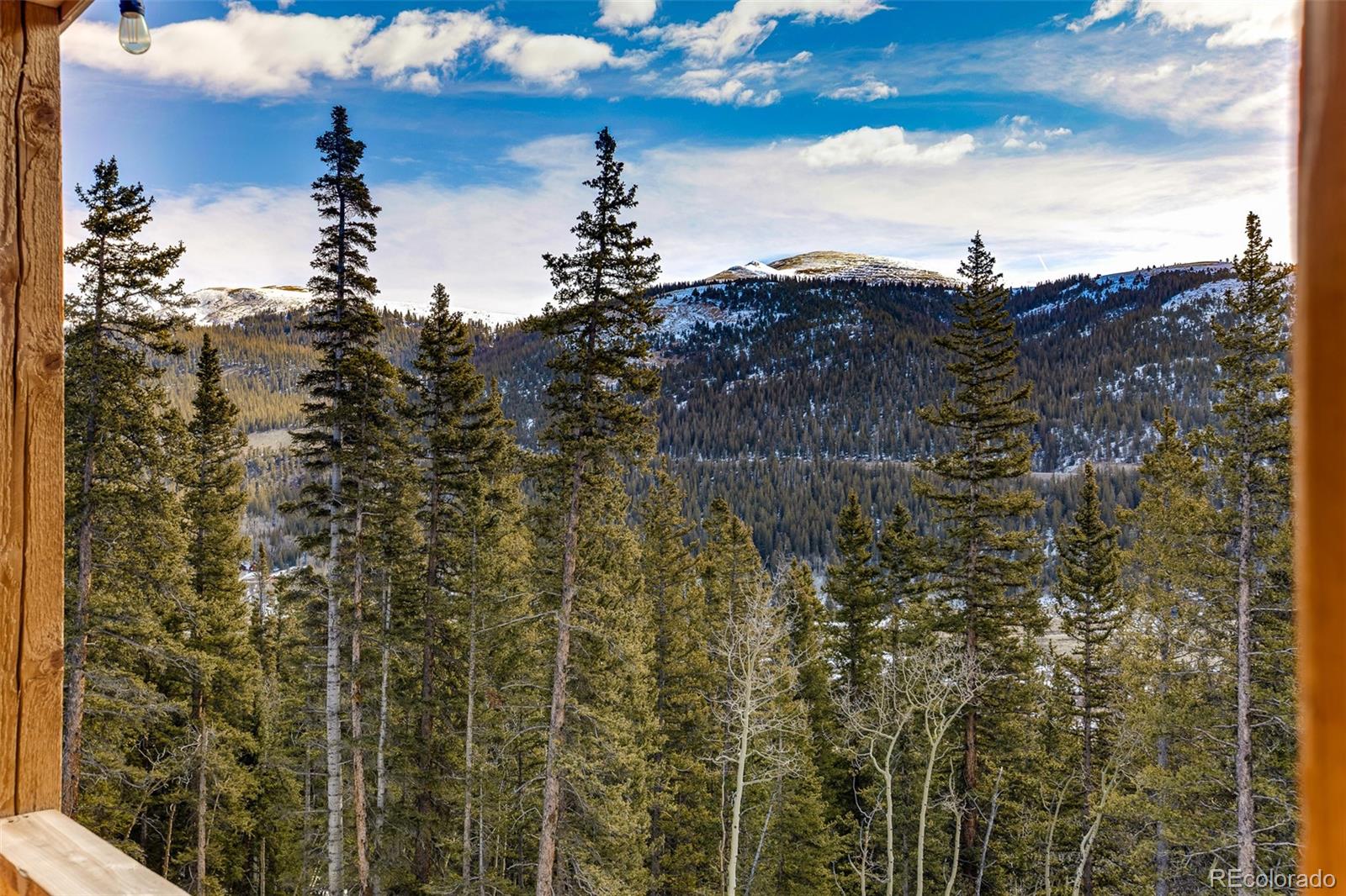 MLS Image #48 for 1452  quartzville road,fairplay, Colorado