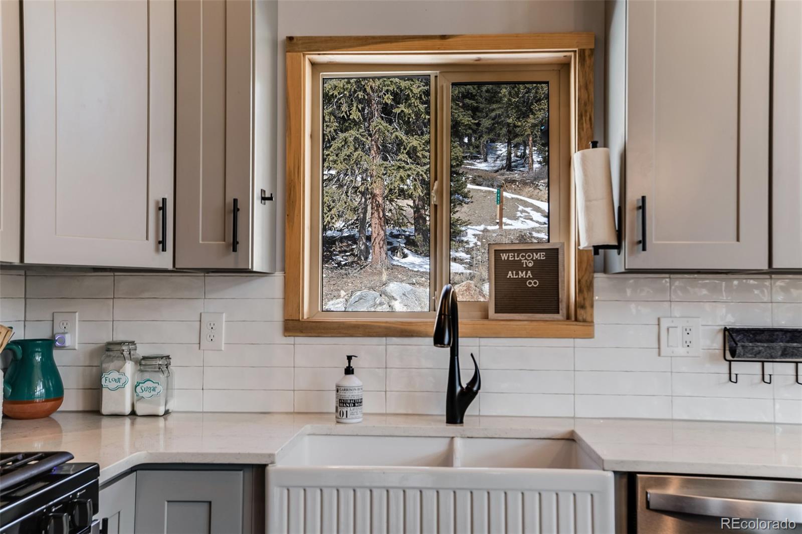 MLS Image #8 for 1452  quartzville road,fairplay, Colorado