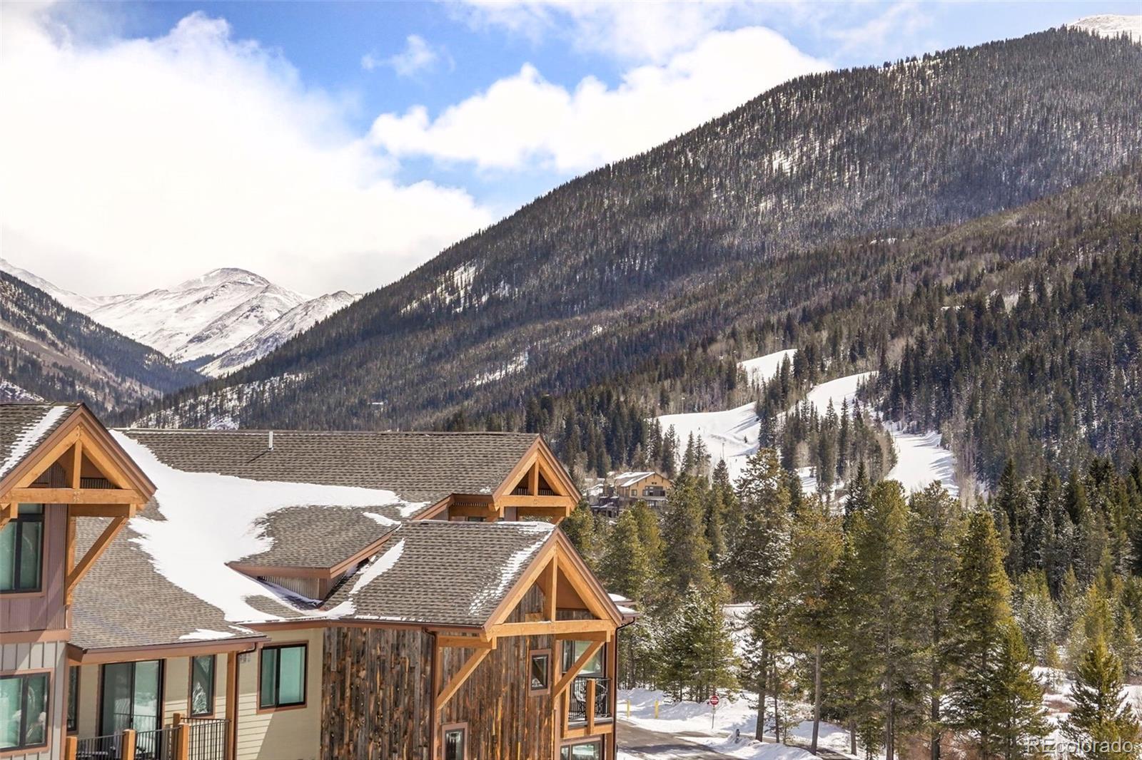 MLS Image #13 for 22340  us highway 6 ,keystone, Colorado