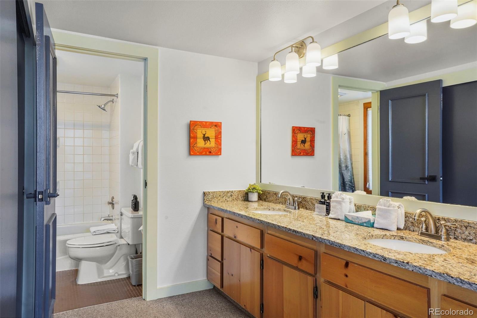 MLS Image #19 for 22340  us highway 6 ,keystone, Colorado