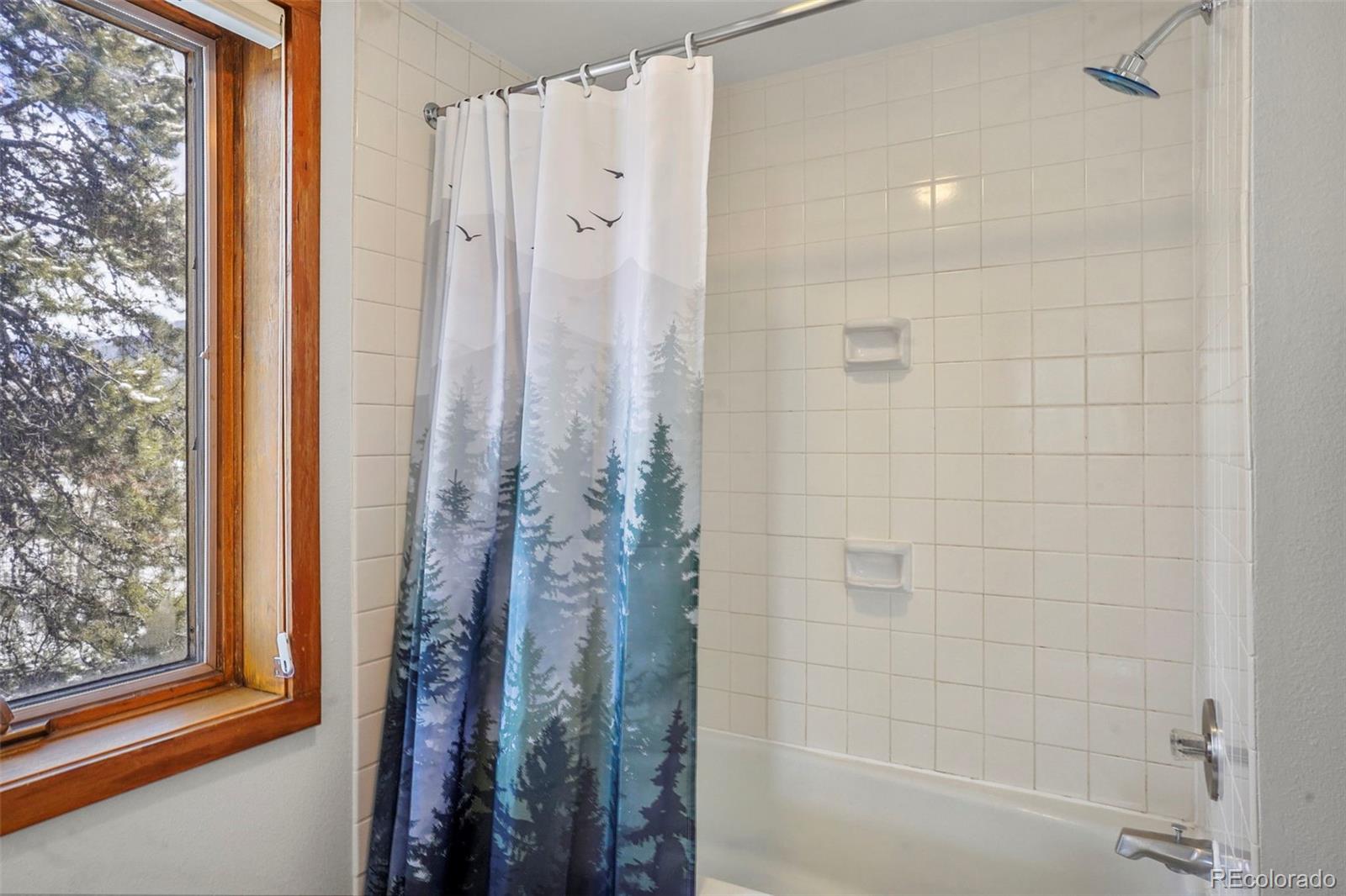 MLS Image #20 for 22340  us highway 6 ,keystone, Colorado