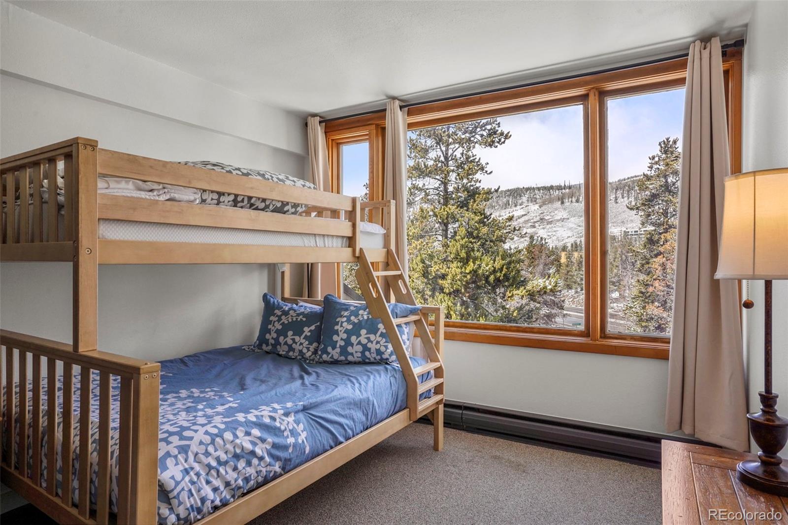 MLS Image #21 for 22340  us highway 6 ,keystone, Colorado