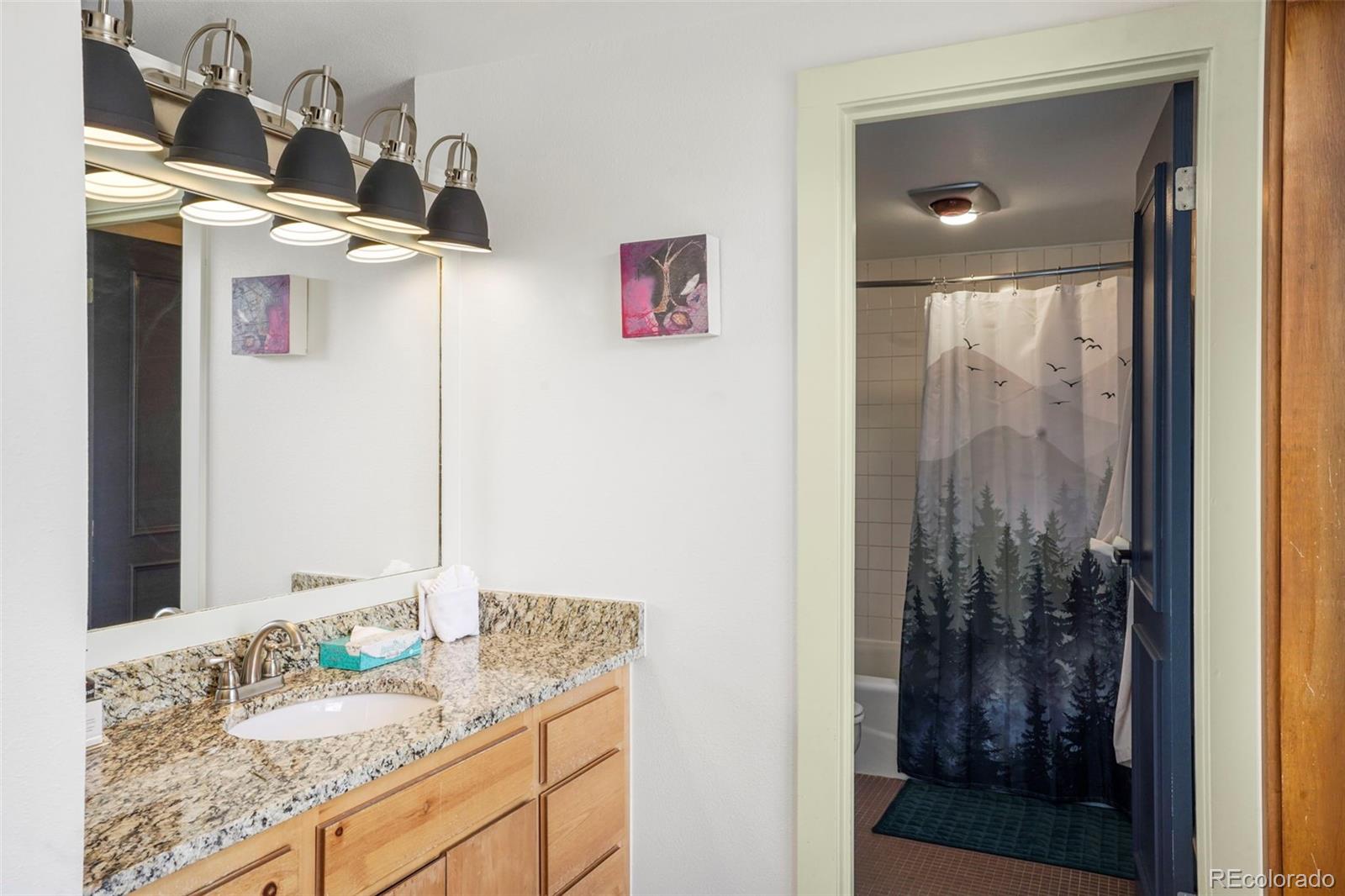 MLS Image #28 for 22340  us highway 6 ,keystone, Colorado