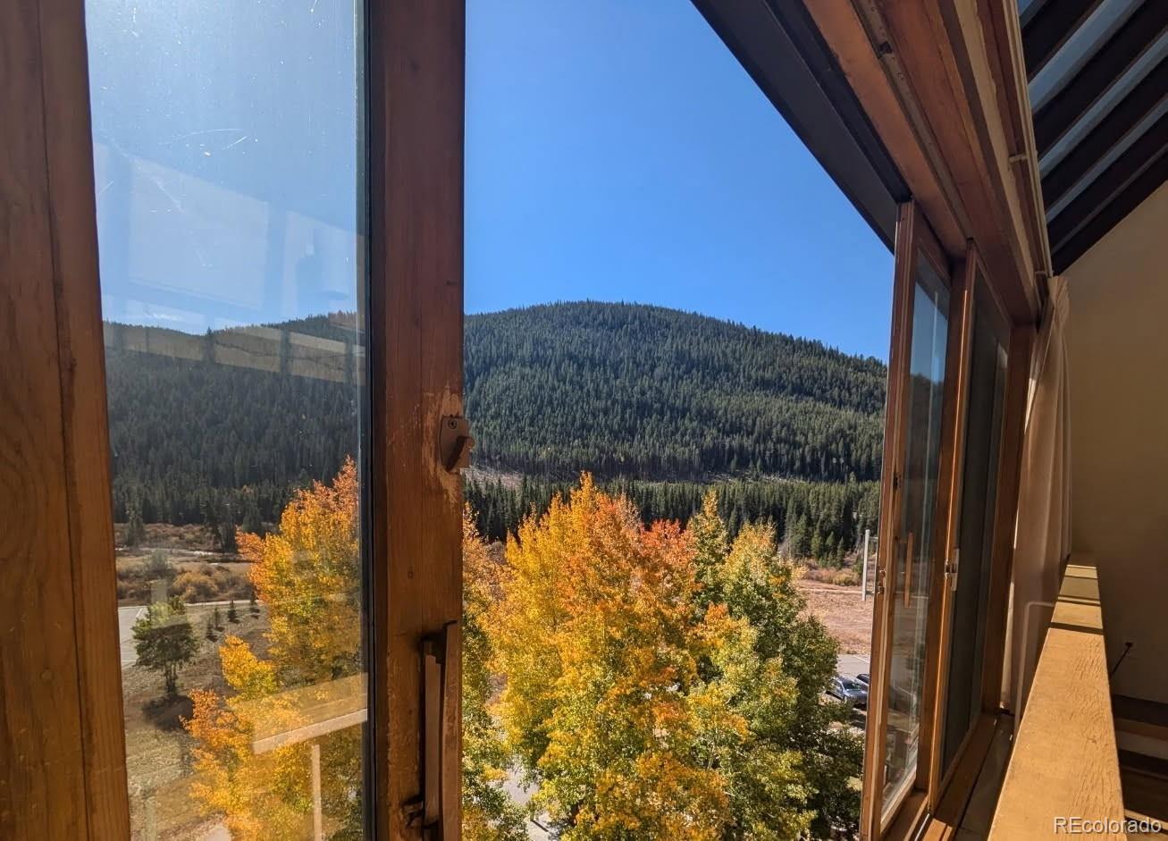 MLS Image #41 for 22340  us highway 6 ,keystone, Colorado