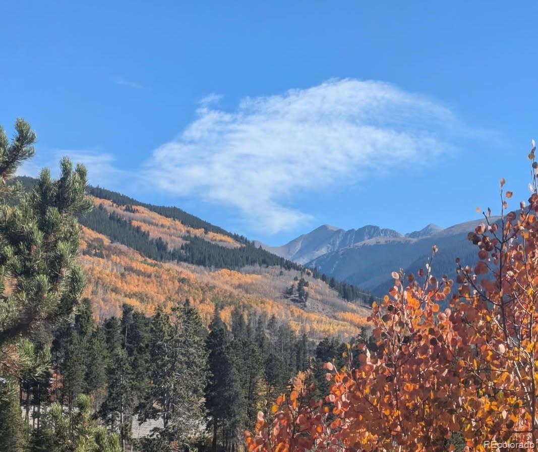 MLS Image #42 for 22340  us highway 6 ,keystone, Colorado