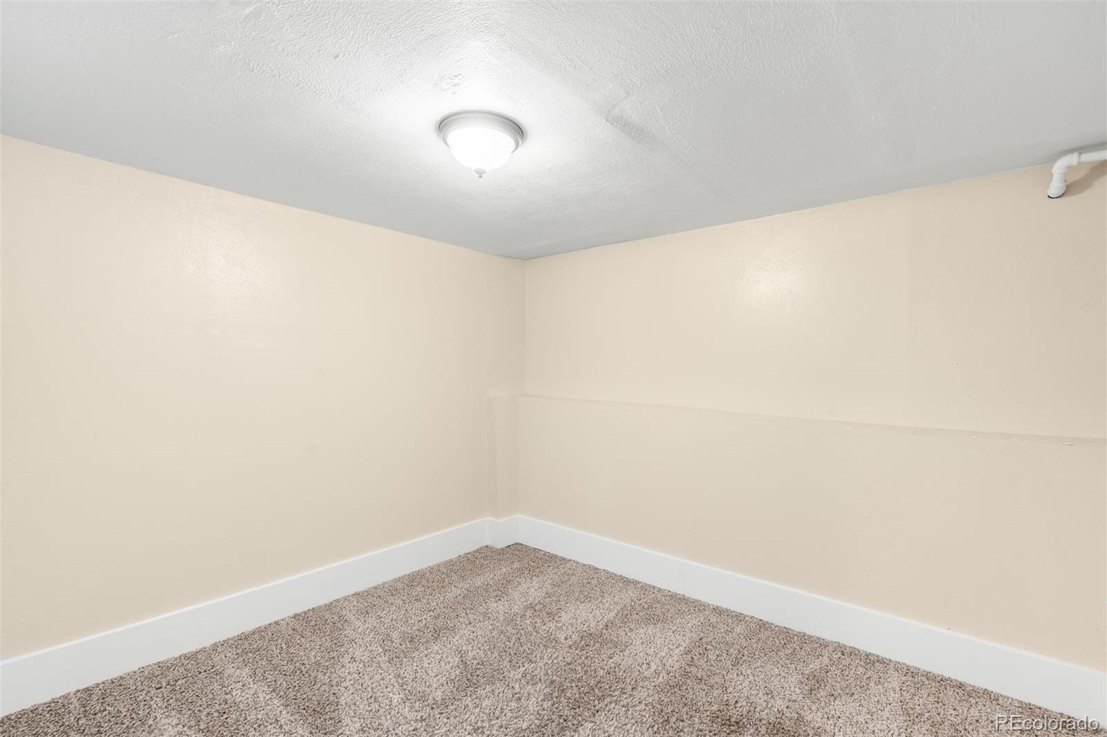 MLS Image #21 for 3123 n elizabeth street,denver, Colorado