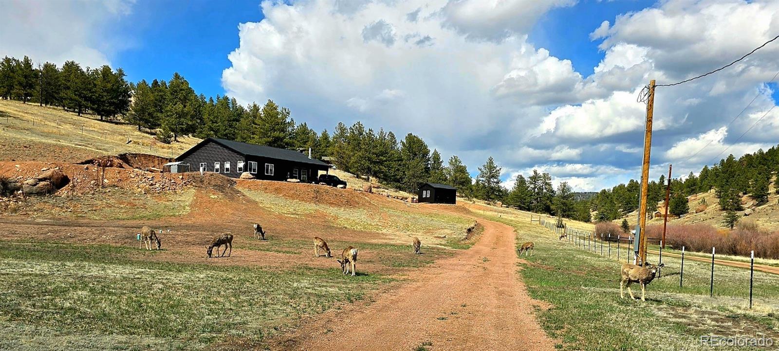 MLS Image #47 for 45  saltlick circle,florissant, Colorado