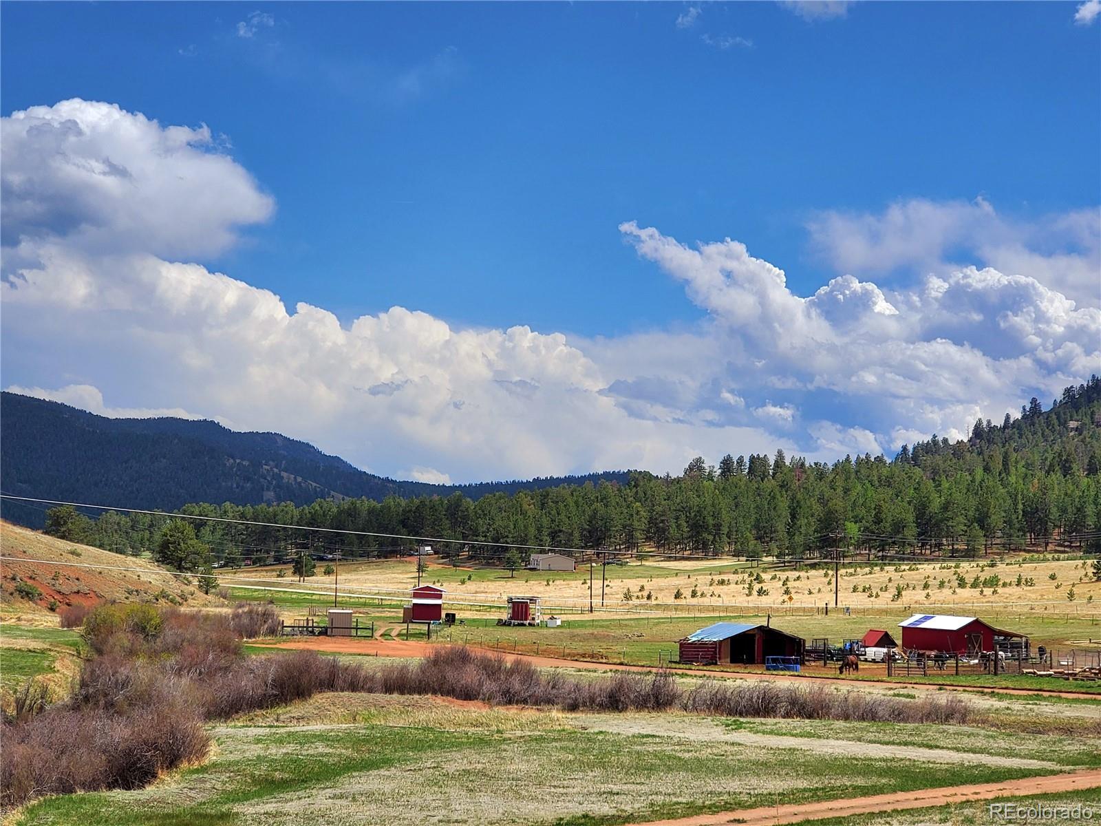 MLS Image #9 for 45  saltlick circle,florissant, Colorado