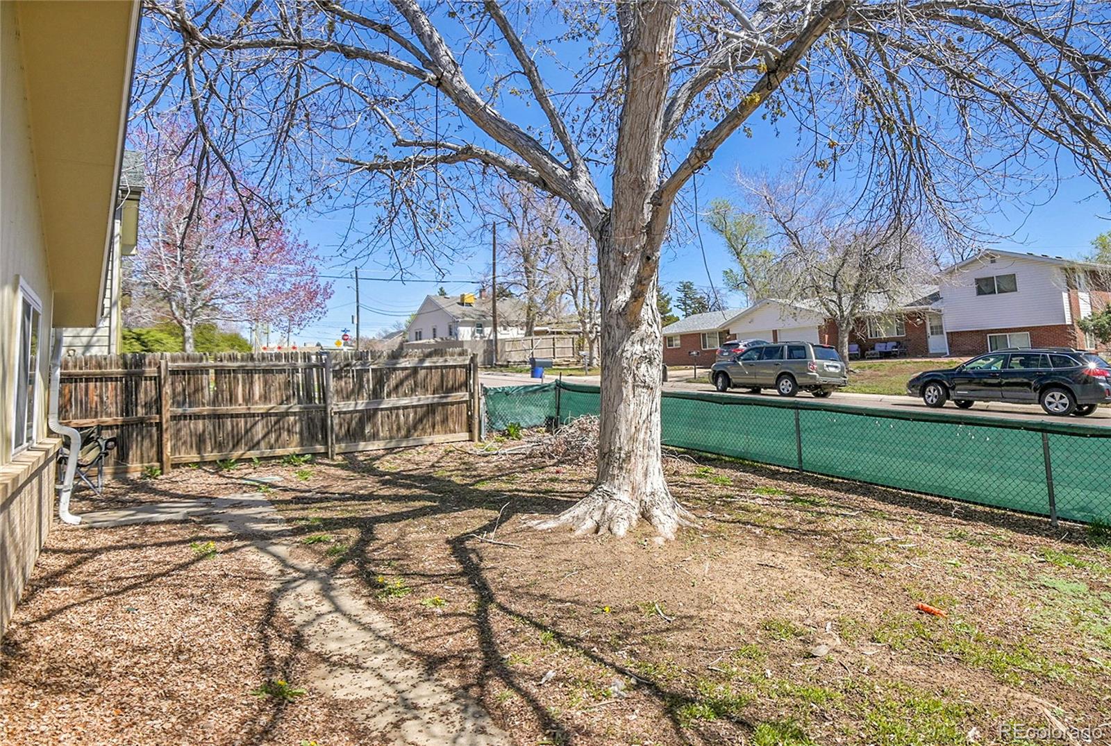 MLS Image #29 for 1255  nelson street,lakewood, Colorado