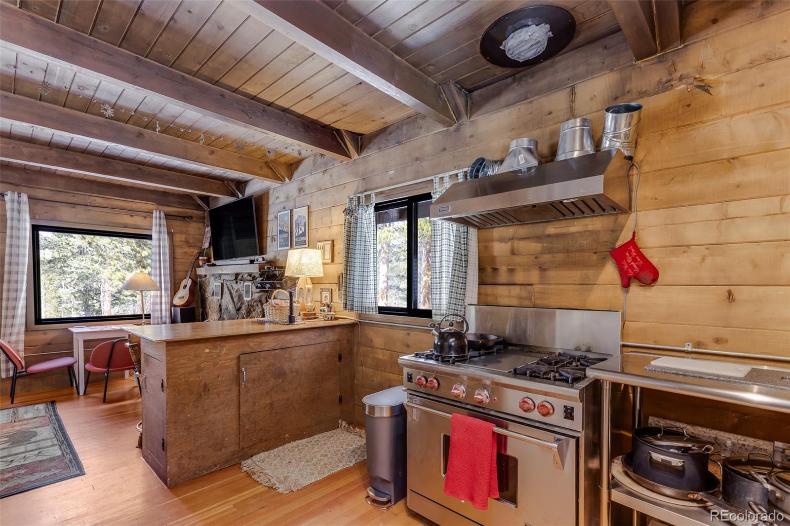 MLS Image #16 for 176  ridge way,fairplay, Colorado