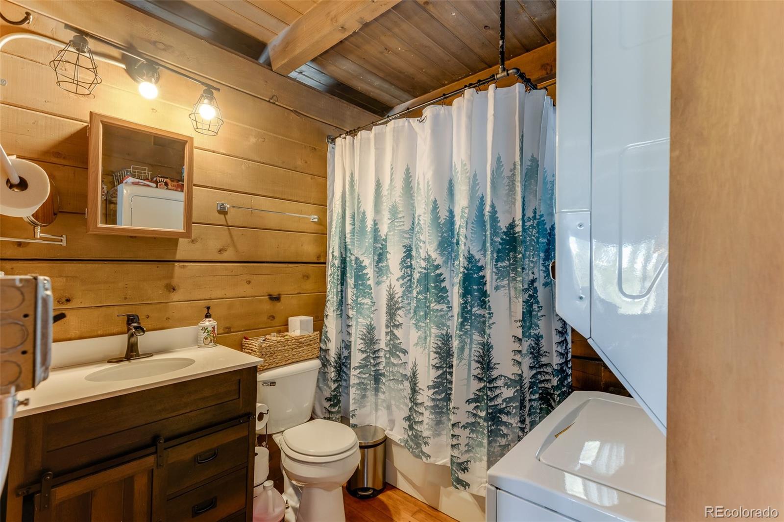 MLS Image #21 for 176  ridge way,fairplay, Colorado