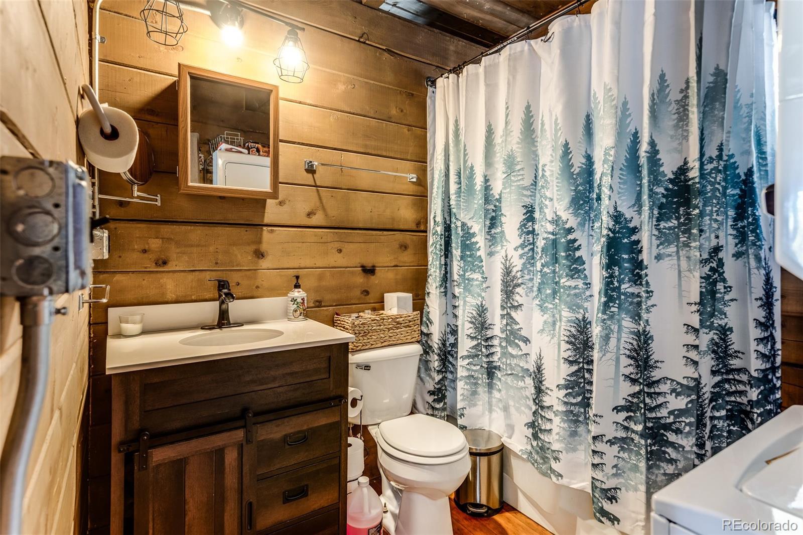 MLS Image #22 for 176  ridge way,fairplay, Colorado