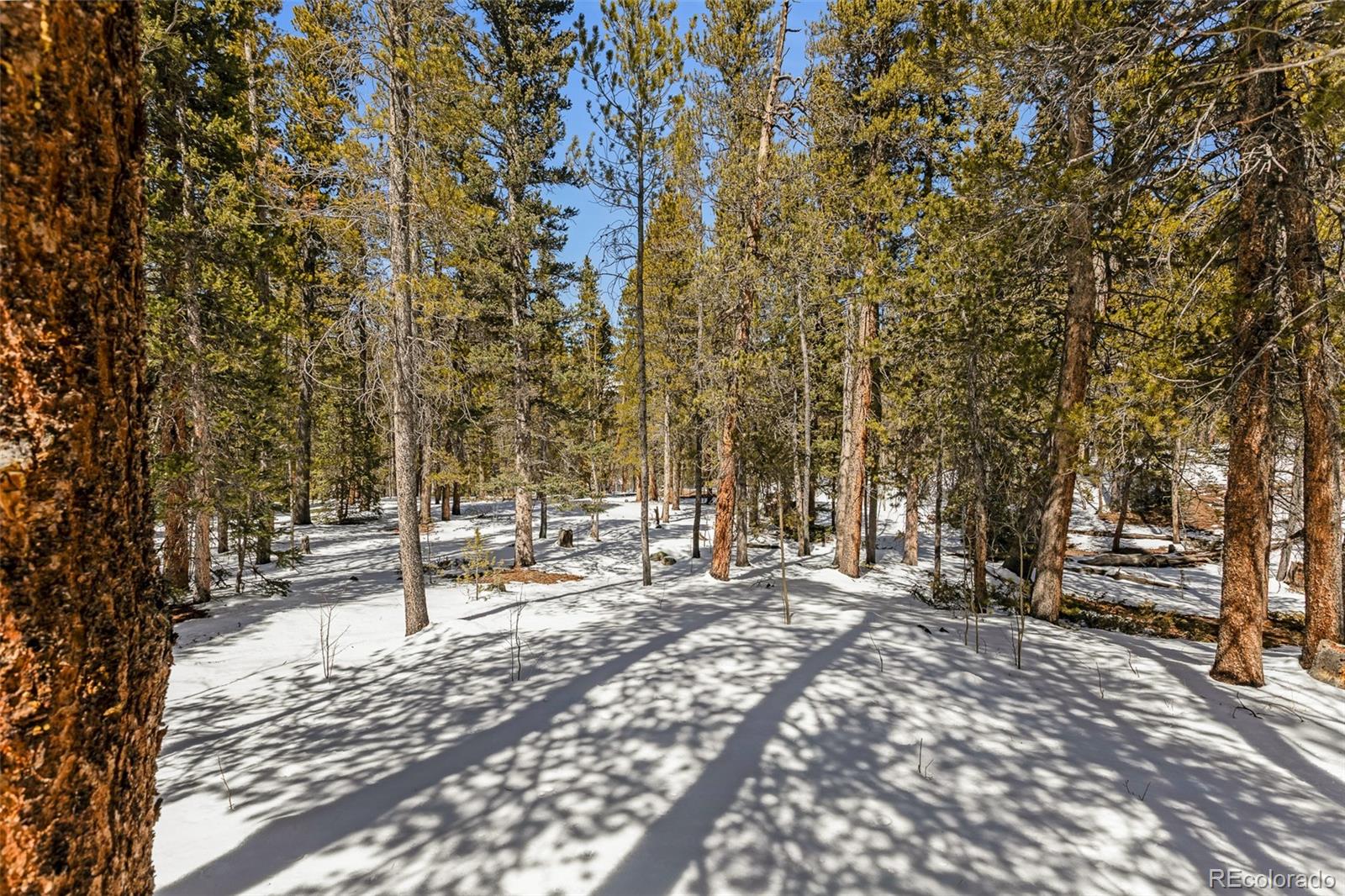 MLS Image #40 for 176  ridge way,fairplay, Colorado