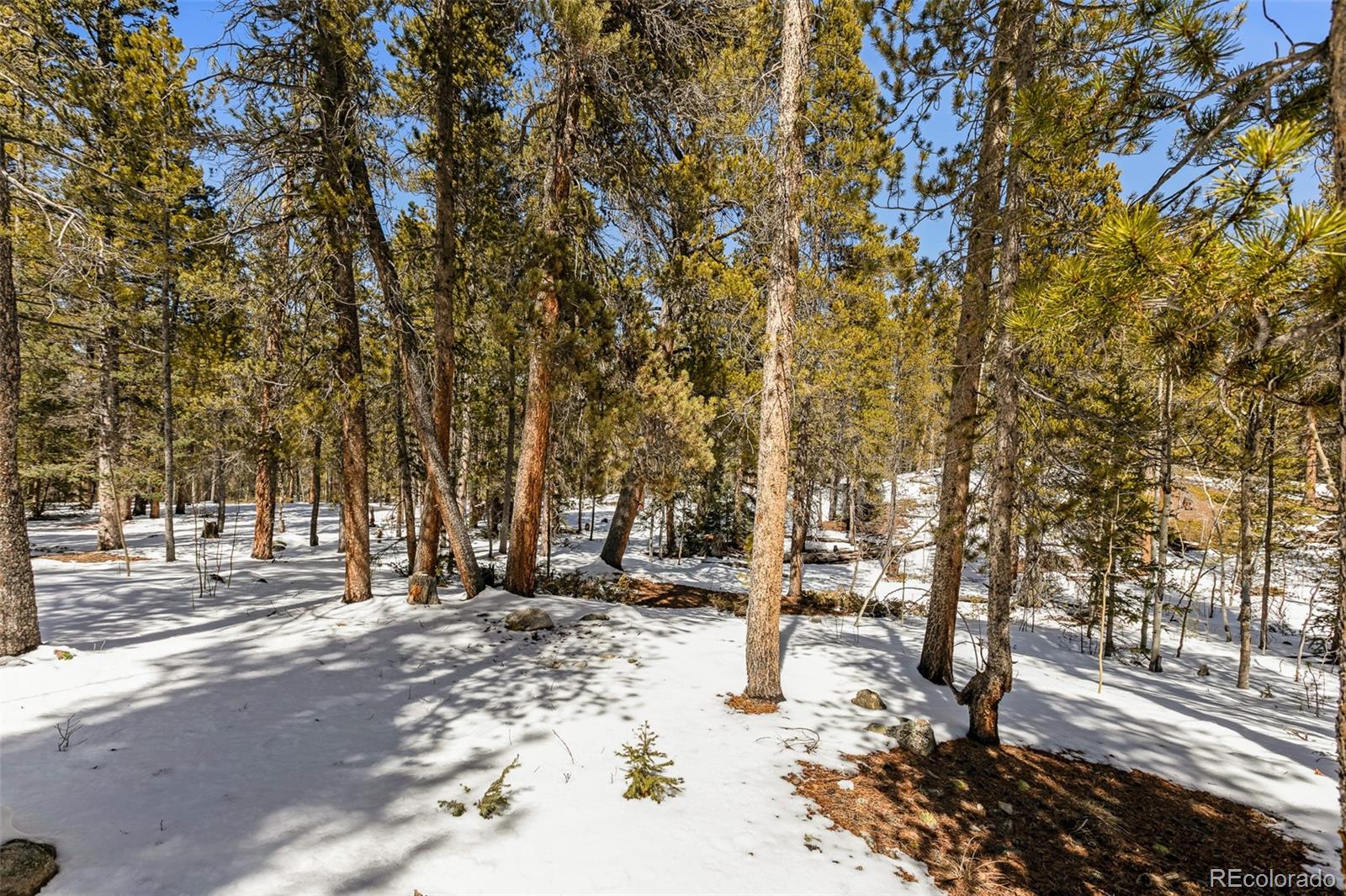 MLS Image #41 for 176  ridge way,fairplay, Colorado