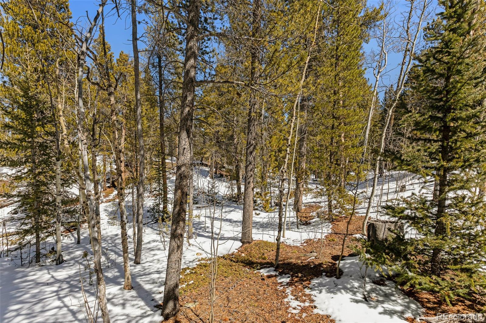 MLS Image #42 for 176  ridge way,fairplay, Colorado
