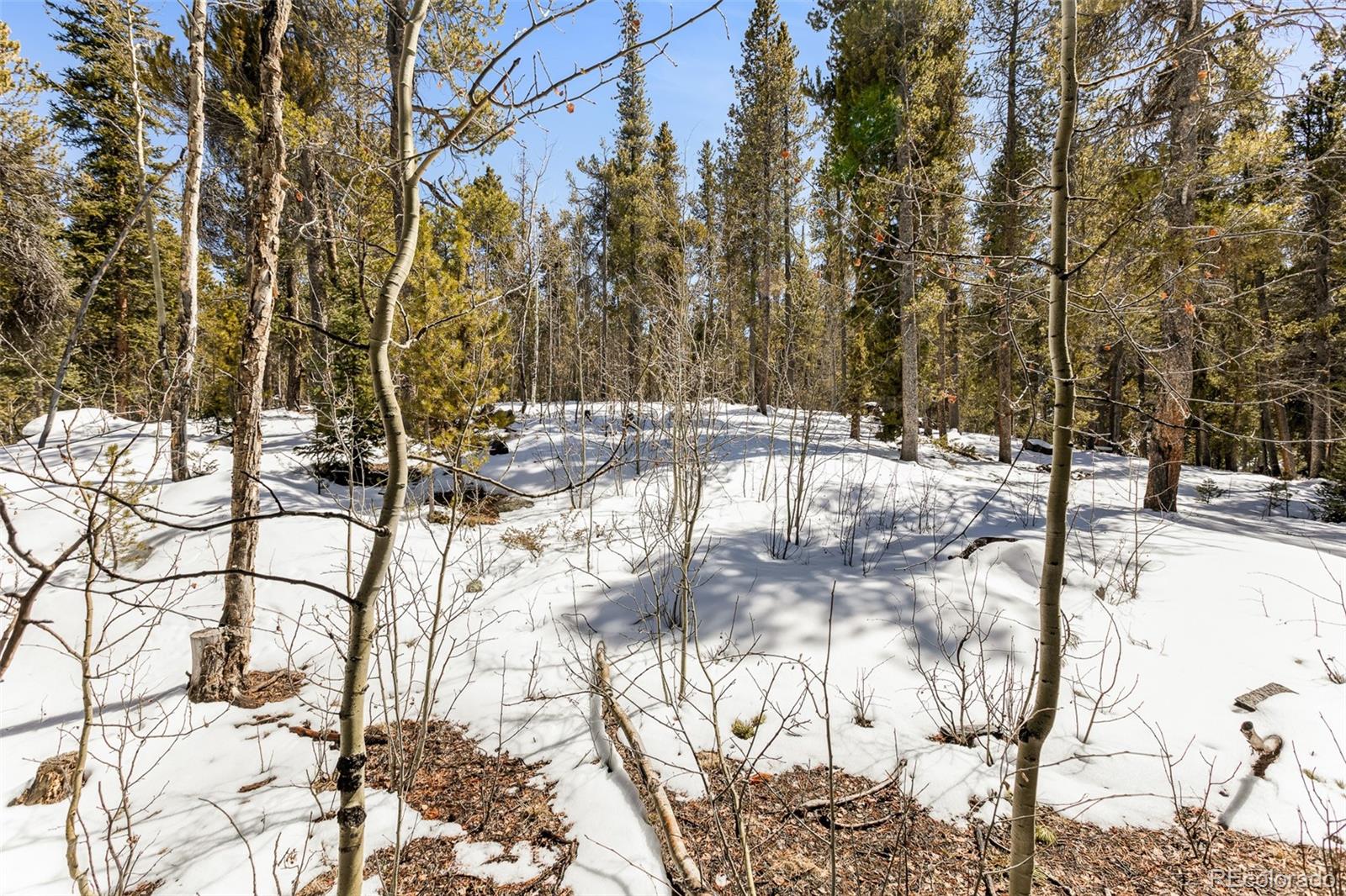 MLS Image #43 for 176  ridge way,fairplay, Colorado
