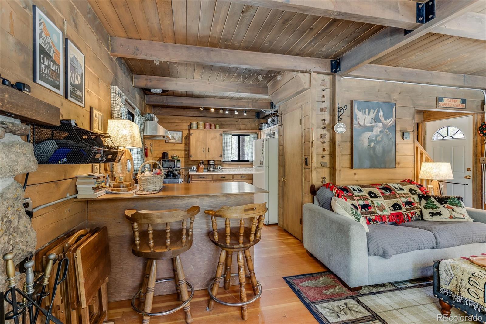 MLS Image #6 for 176  ridge way,fairplay, Colorado