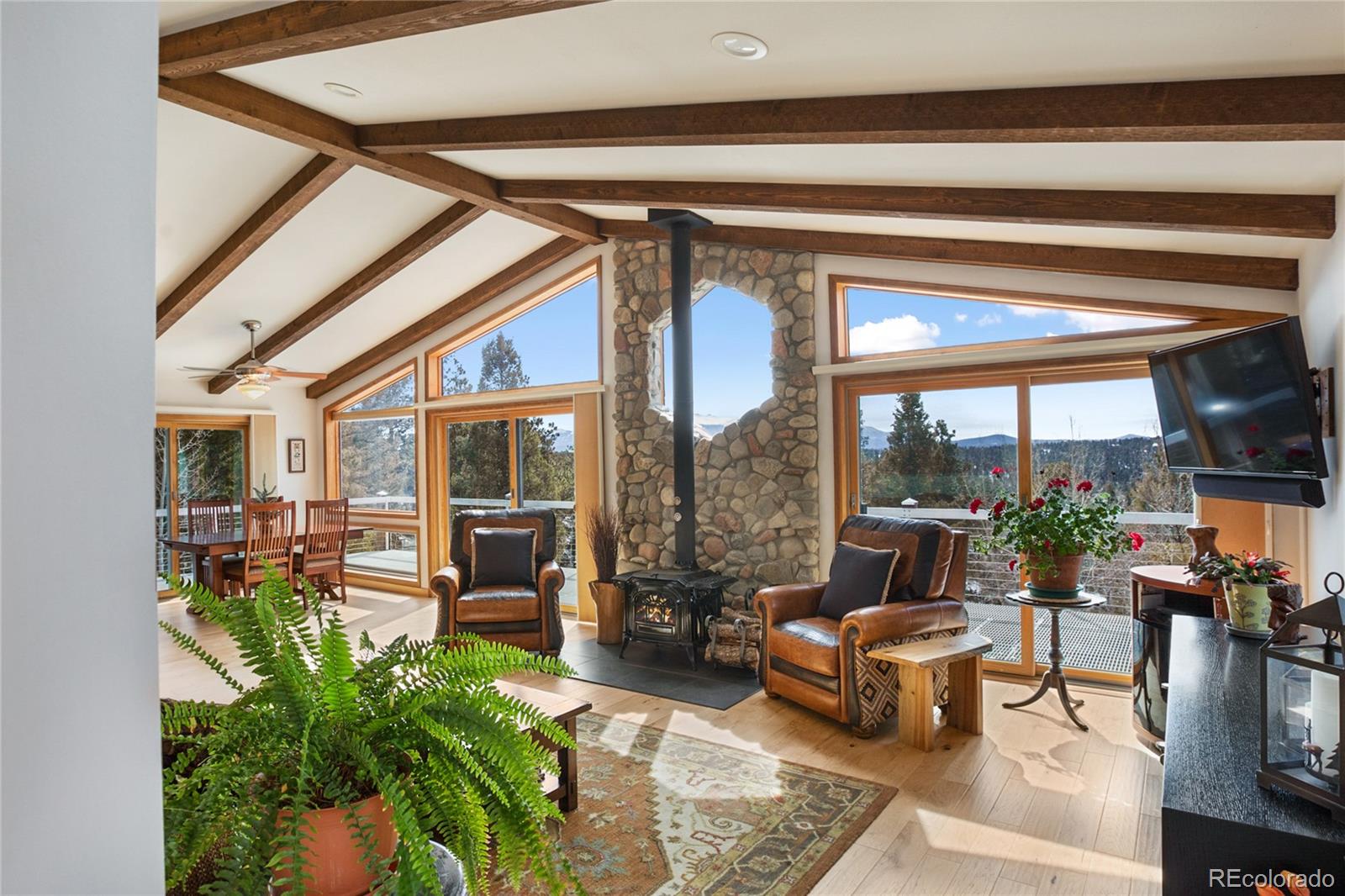 MLS Image #14 for 4261  county road 51 ,divide, Colorado