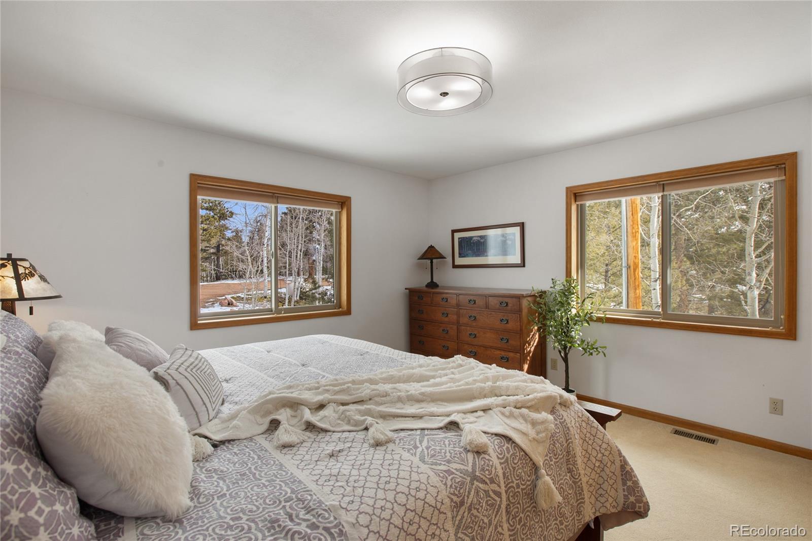 MLS Image #20 for 4261  county road 51 ,divide, Colorado